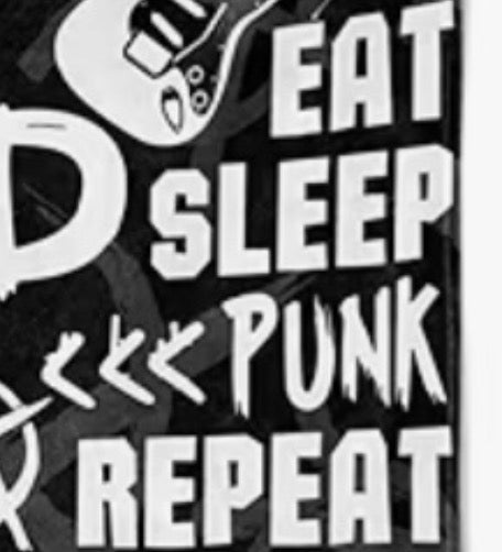 Pre-Sale: Eat, Sleep, Punk Repeat 12”